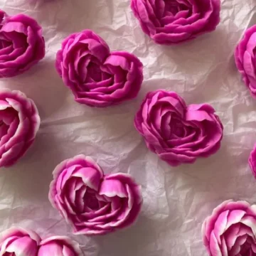 Romantic Blossom